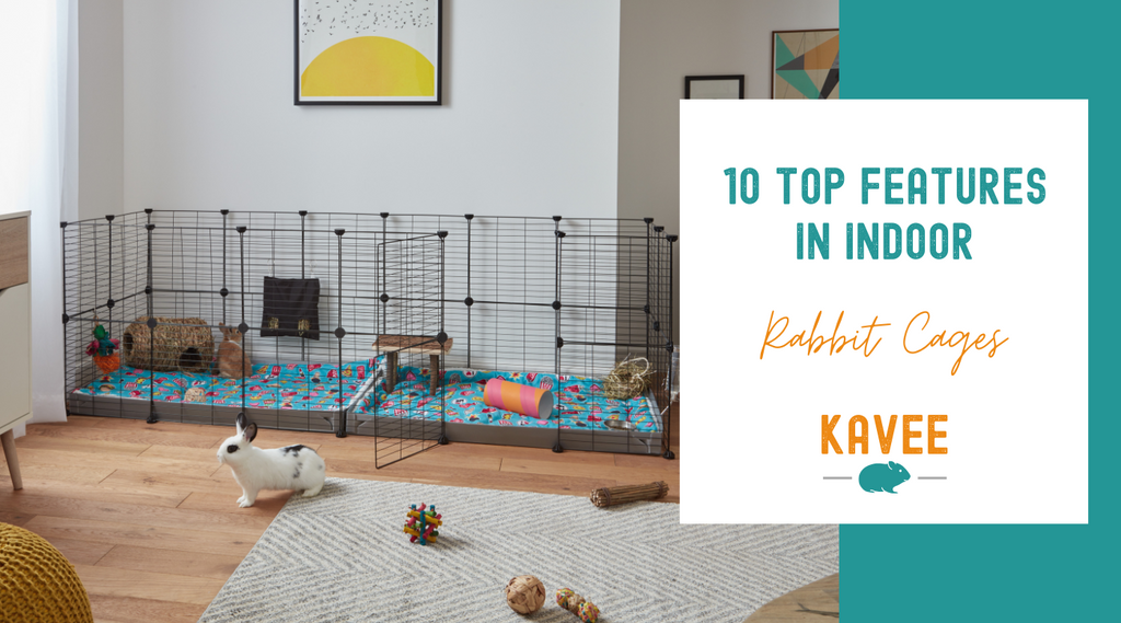 Choosing the Perfect Home for Your Rabbit Top 10 Features of an Indoor Cage