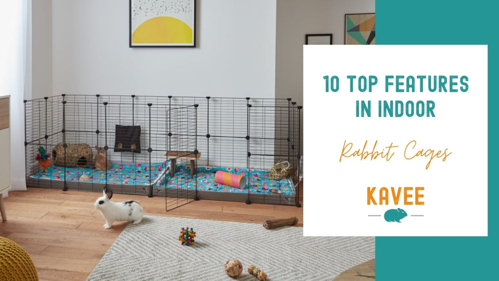 Choosing the Perfect Home for Your Rabbit: Top 10 Features of an Indoor ...