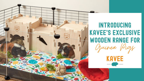 Kavee releases sustainable wooden castle toys for guinea pigs