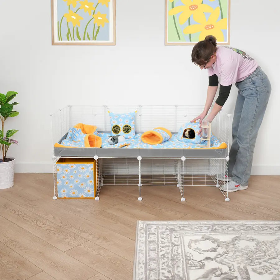 Guinea pig cage set up for small pets