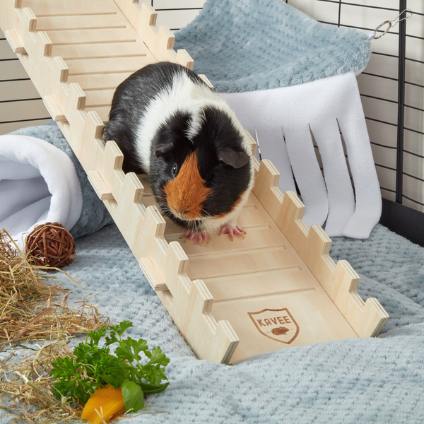 Sale guinea pig diy toys Hot Sale