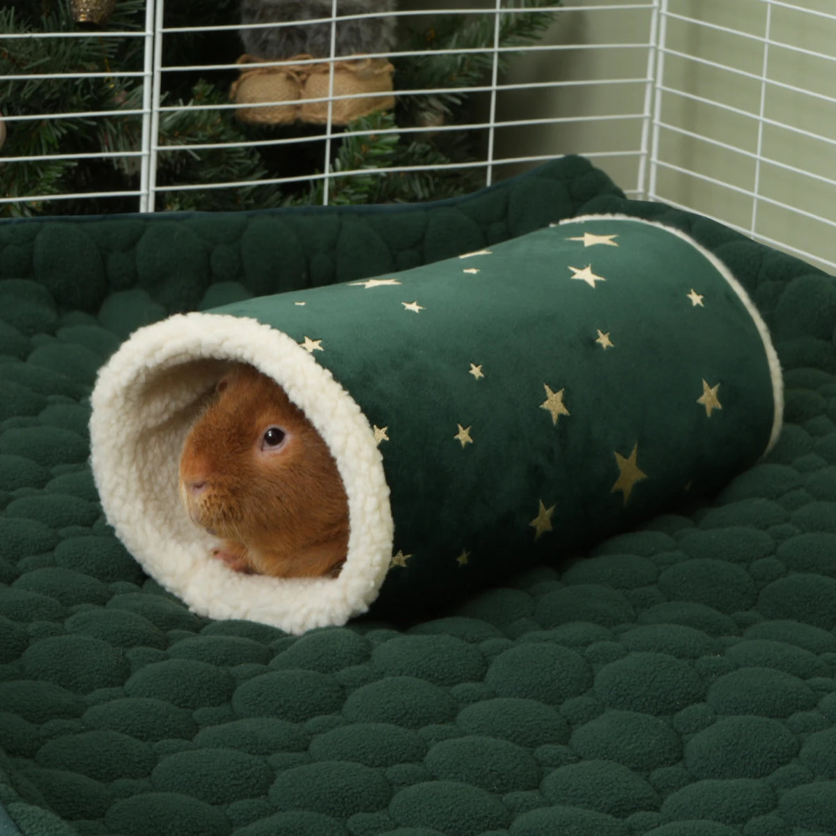 The Christmas Tunnel, in a guinea pig habitat
