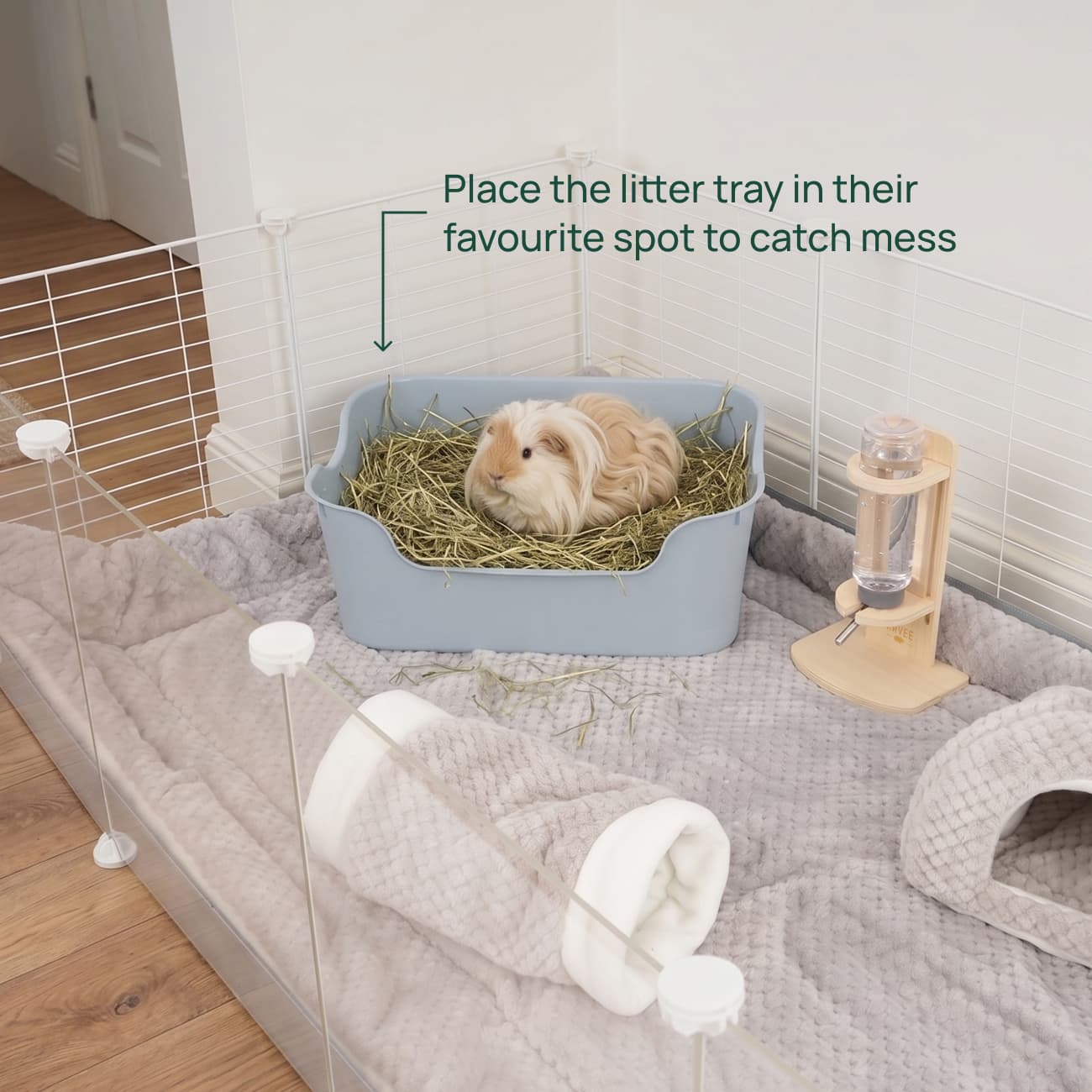 The 5-Piece Clean Habitat Kit