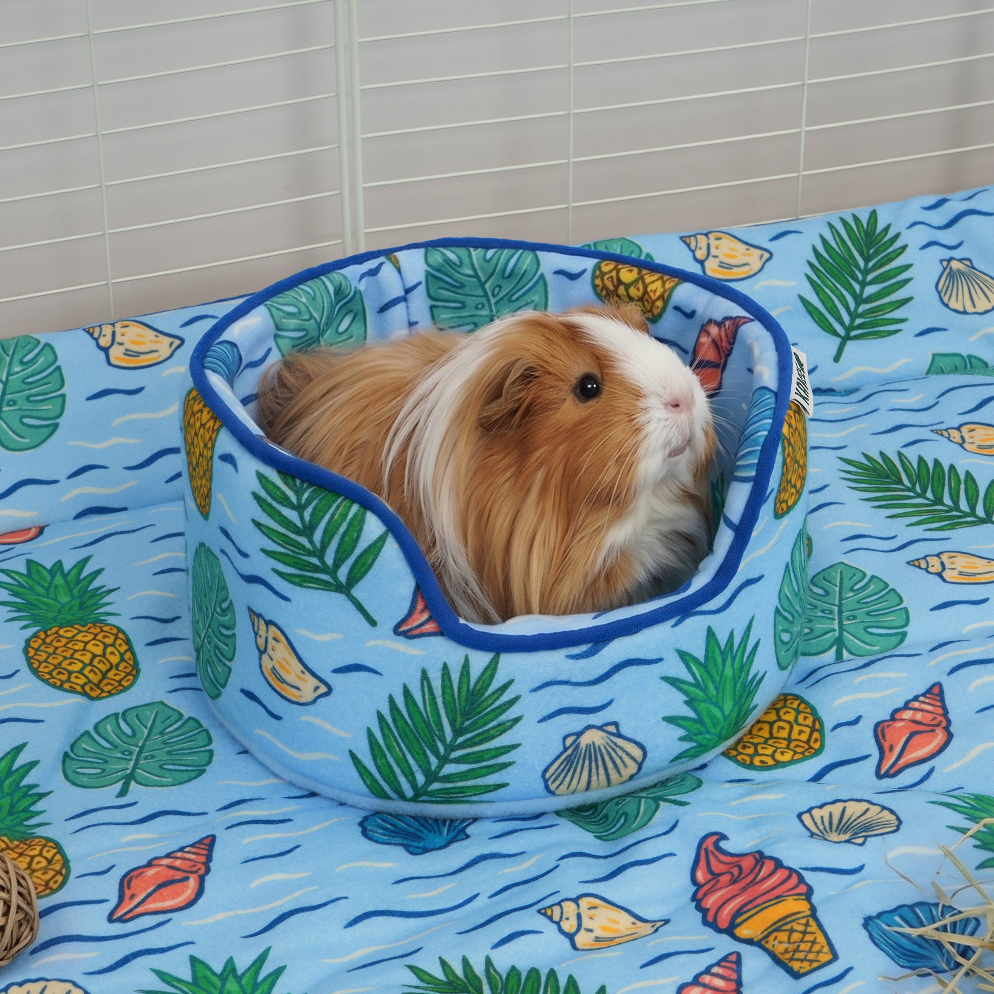 The Cuddle Cup | Coastal Collection