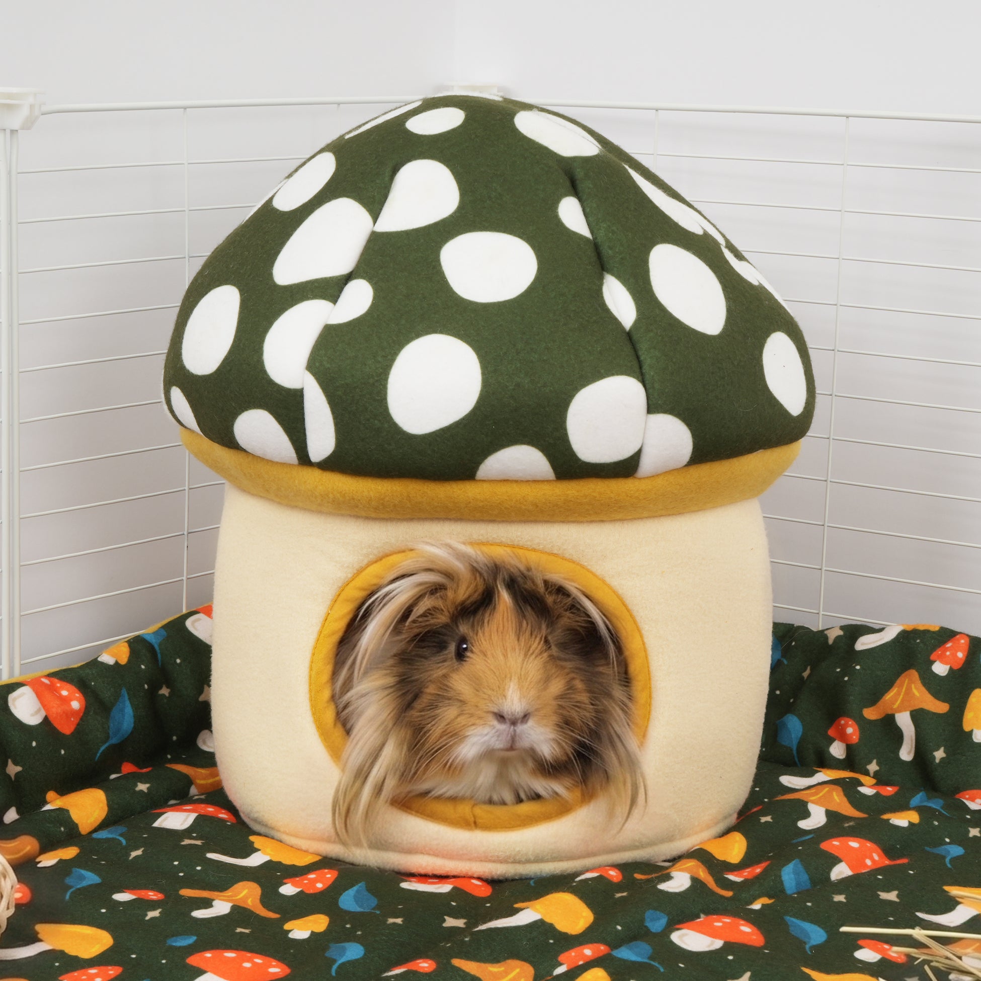 The Fungi Hide | Mushroom Collection