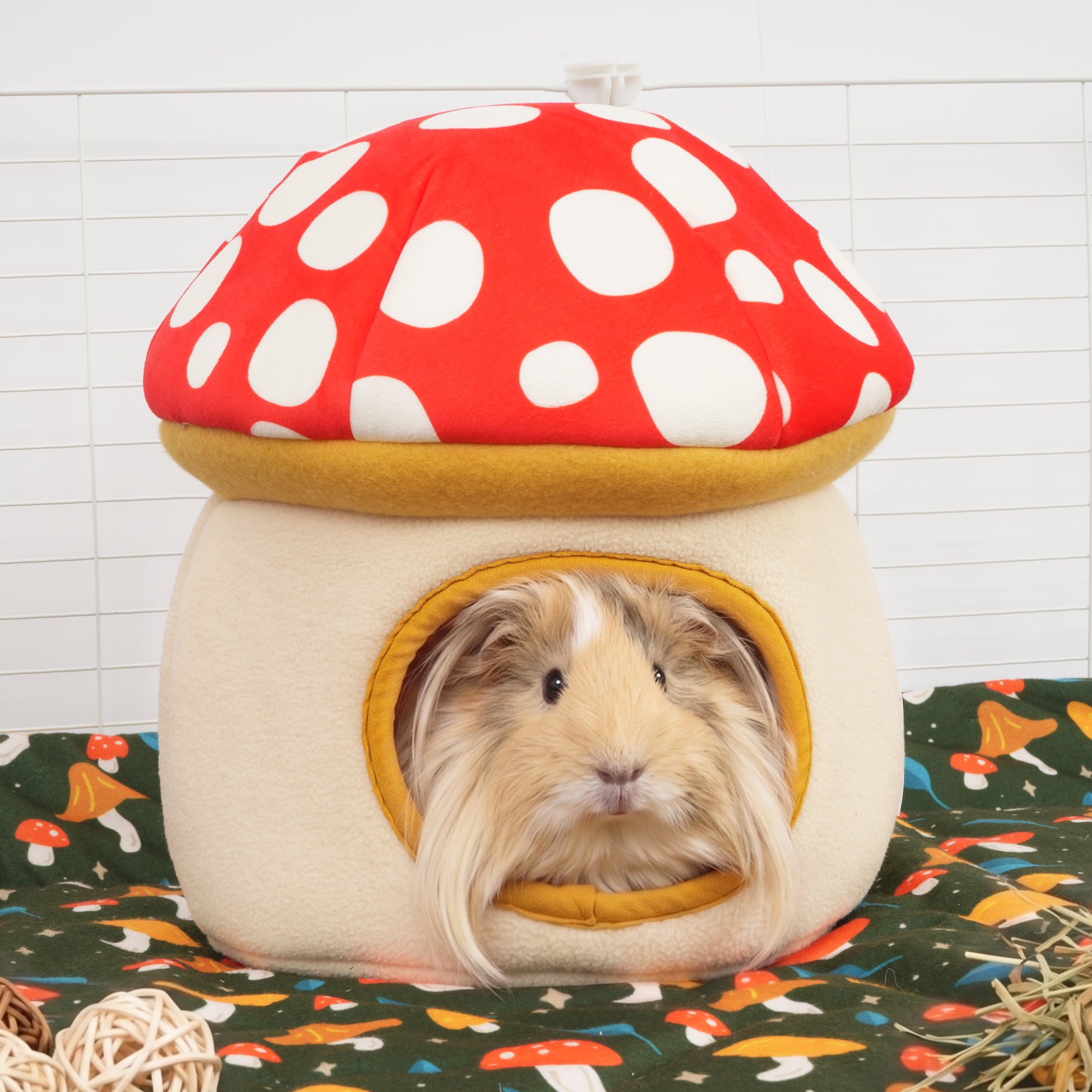 Red Toadstool Hide | Mushroom Collection