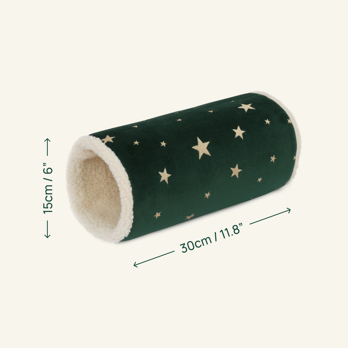 The Christmas Tunnel