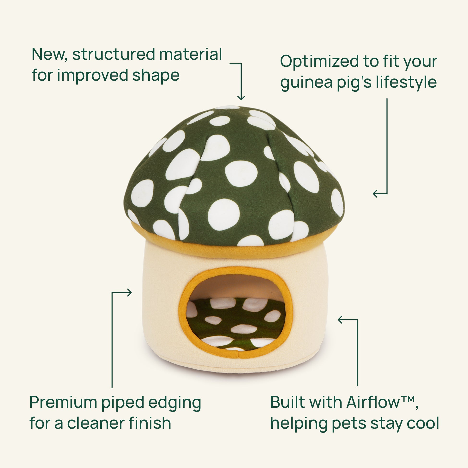 The Fungi Hide | Mushroom Collection