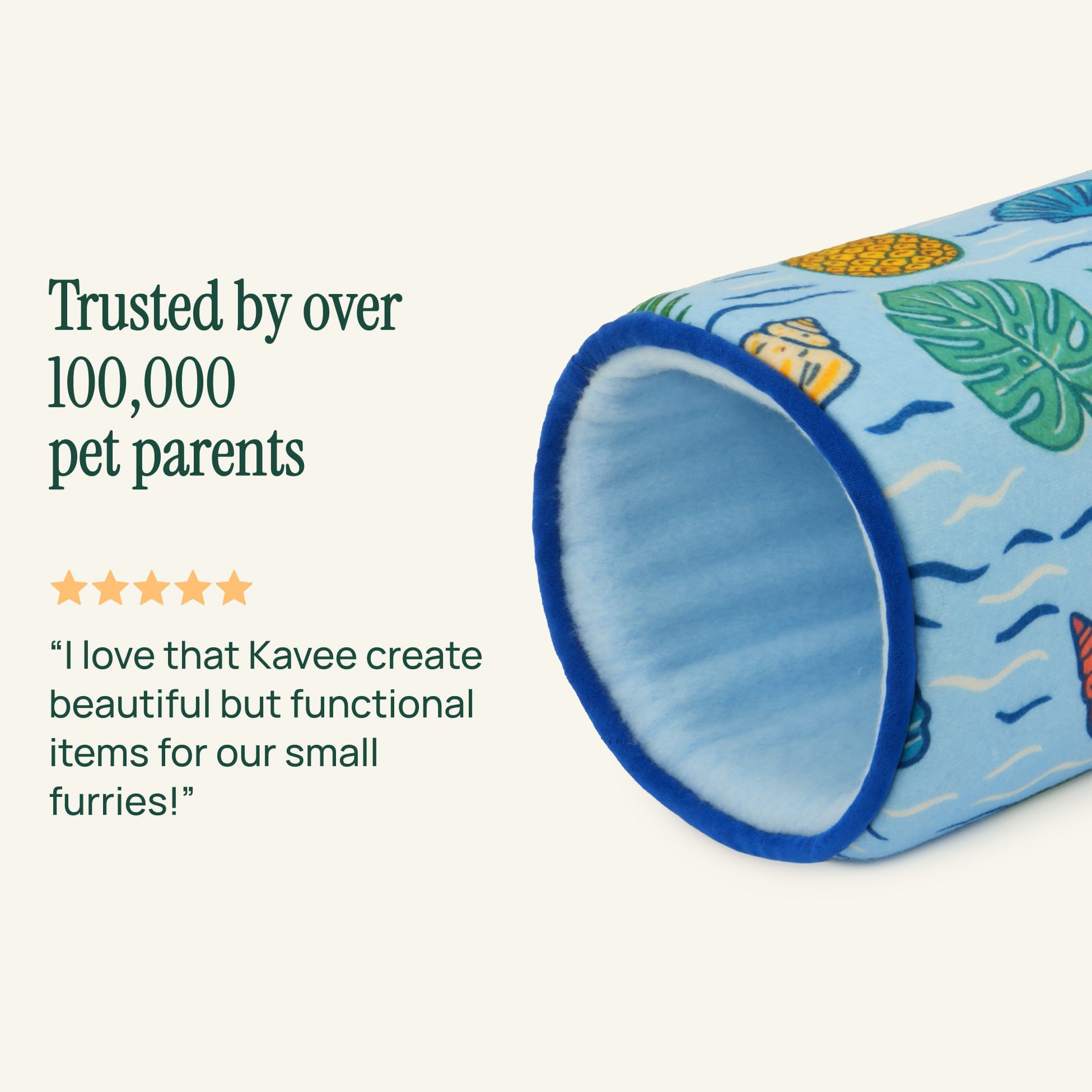 The Tunnel | Coastal Collection