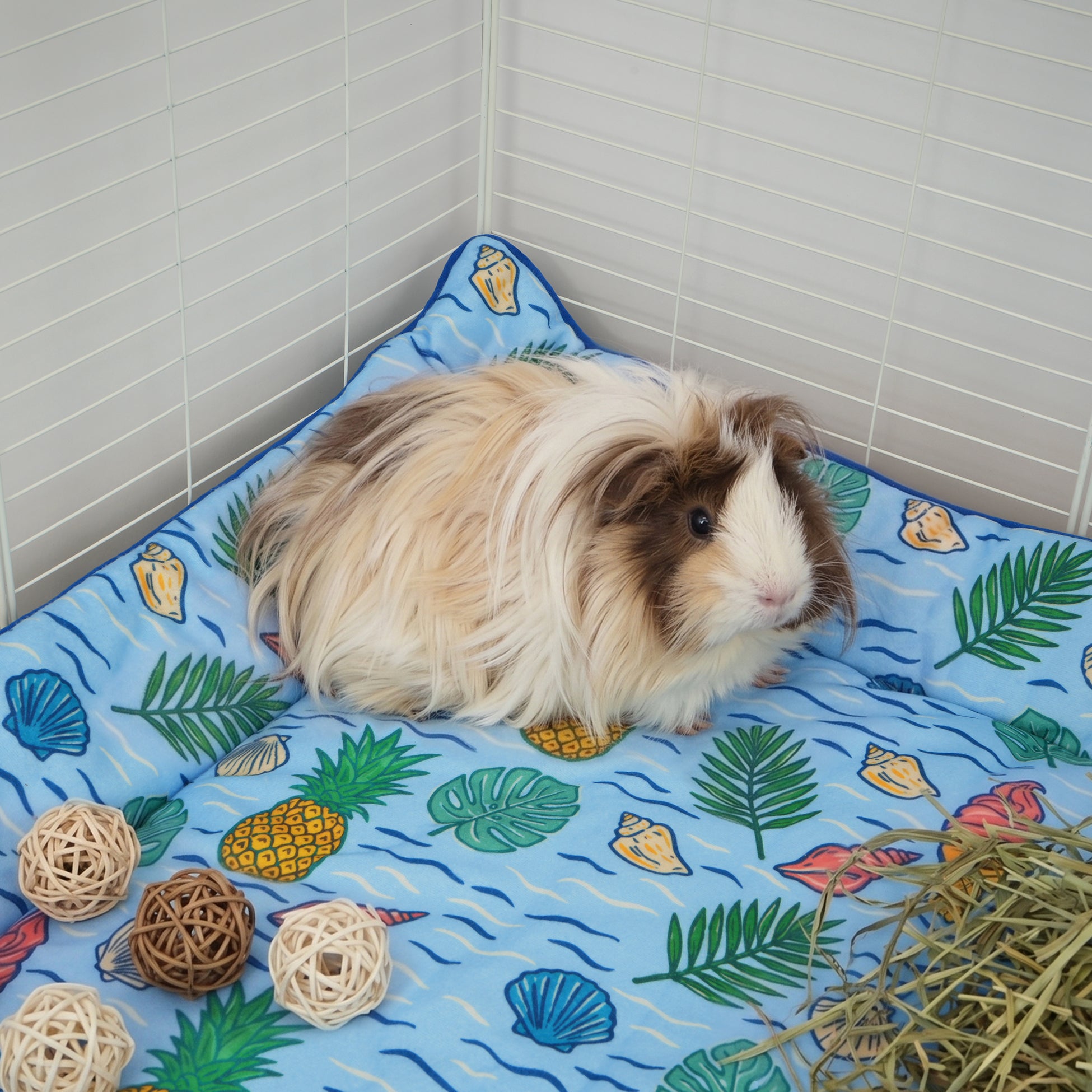 Set of 2 Plush Fleece Liner for Guinea Pigs | Coastal Collection