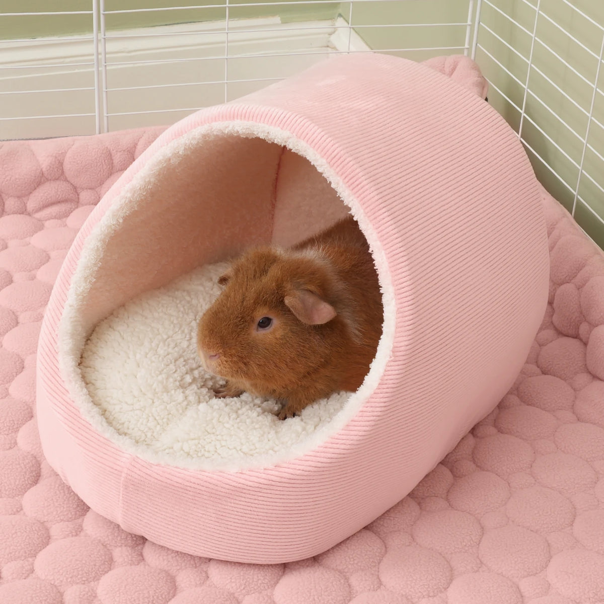 The Nest™ Spare Cushions, a guinea pig on the cushion in The Nest™