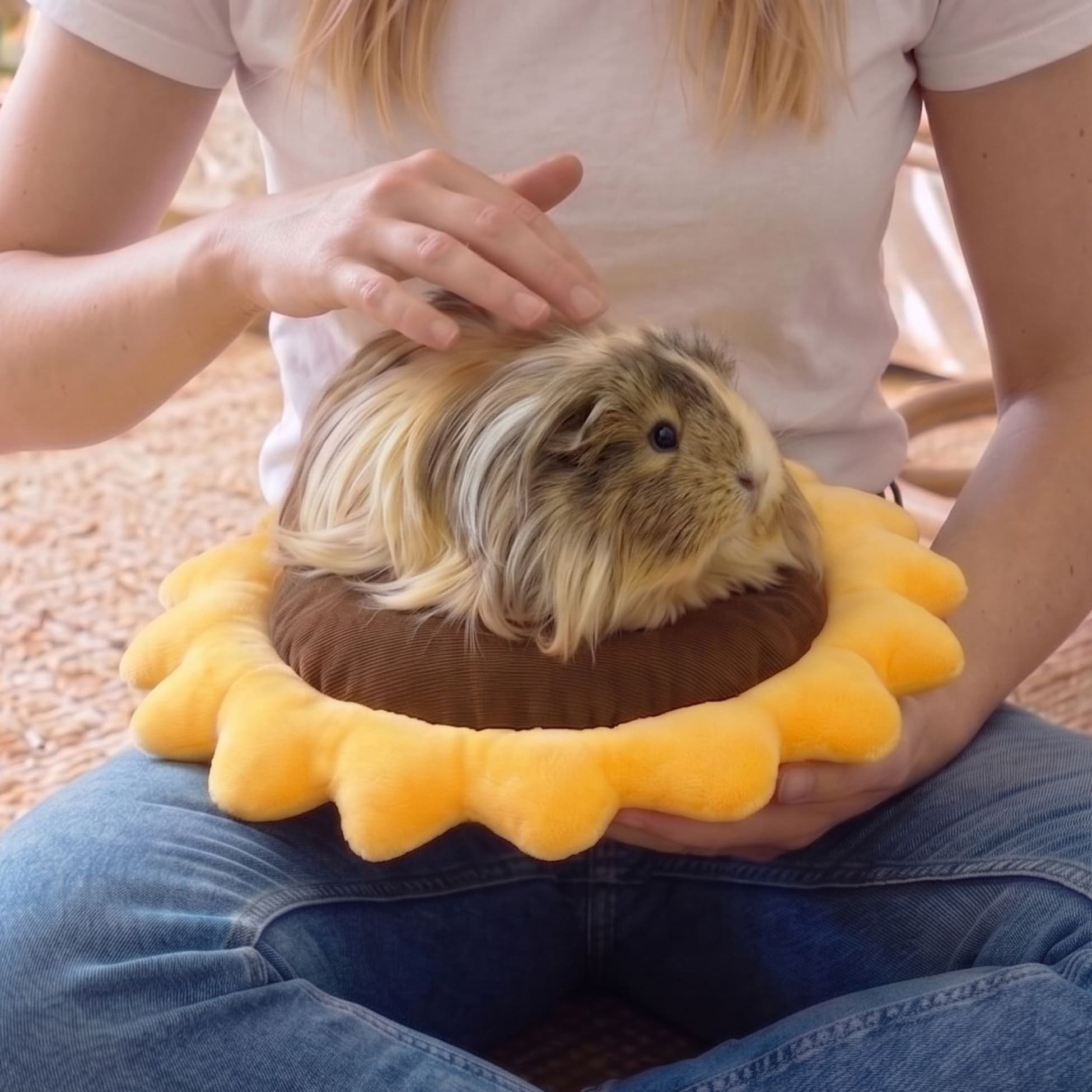 The Sunflower Bed | Sunflower Collection