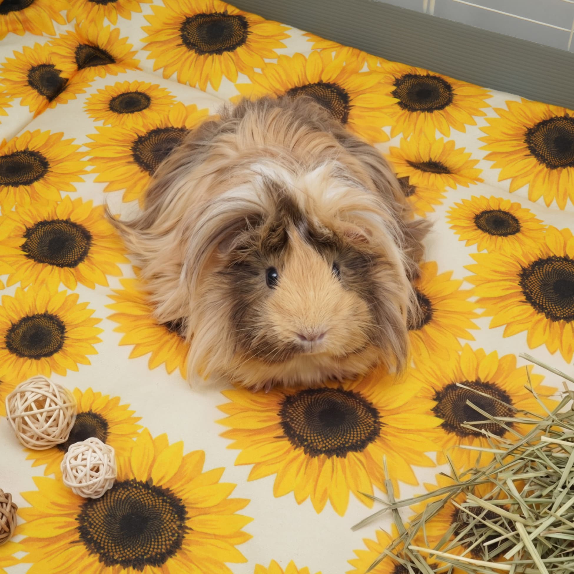 Set of 2 Plush Fleece Liner for Guinea Pigs | Sunflower Collection