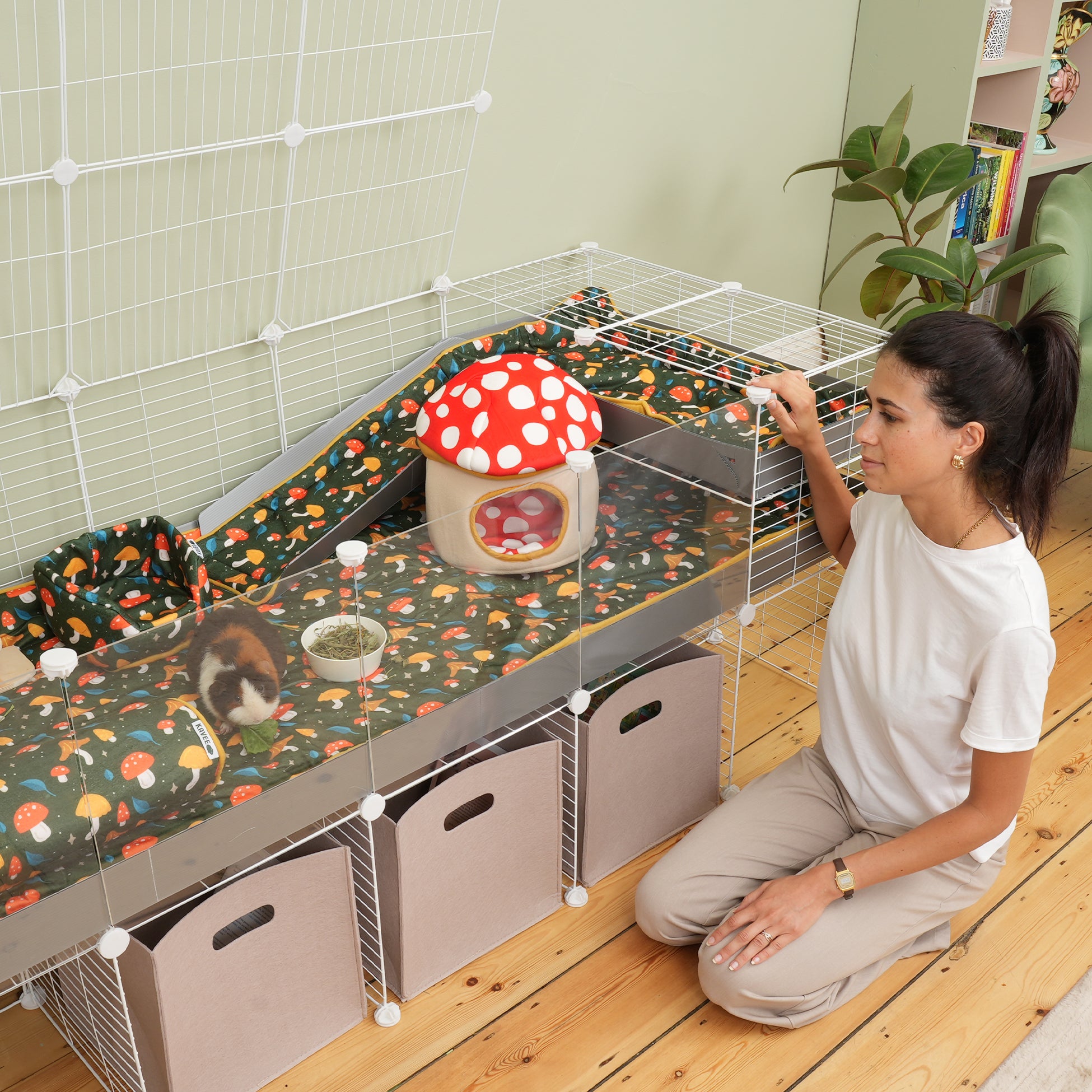 Red Toadstool Hide | Mushroom Collection