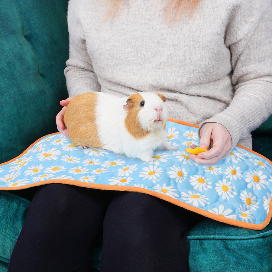 Waterproof Lap Pads for Guinea Pigs and Rabbits