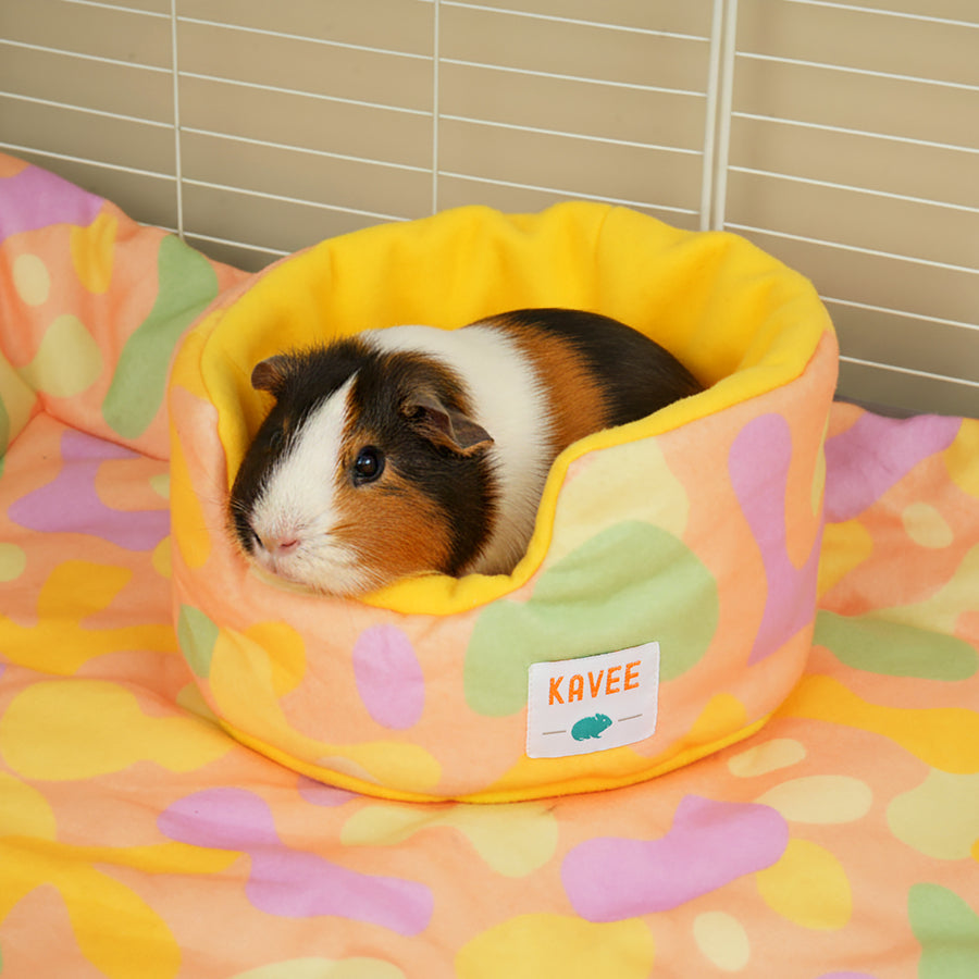 Guinea Pig Cuddle Cup | Pigcasso V2 Collection