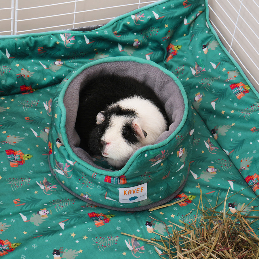 Guinea pig inside Kavee Christmas cuddle cup