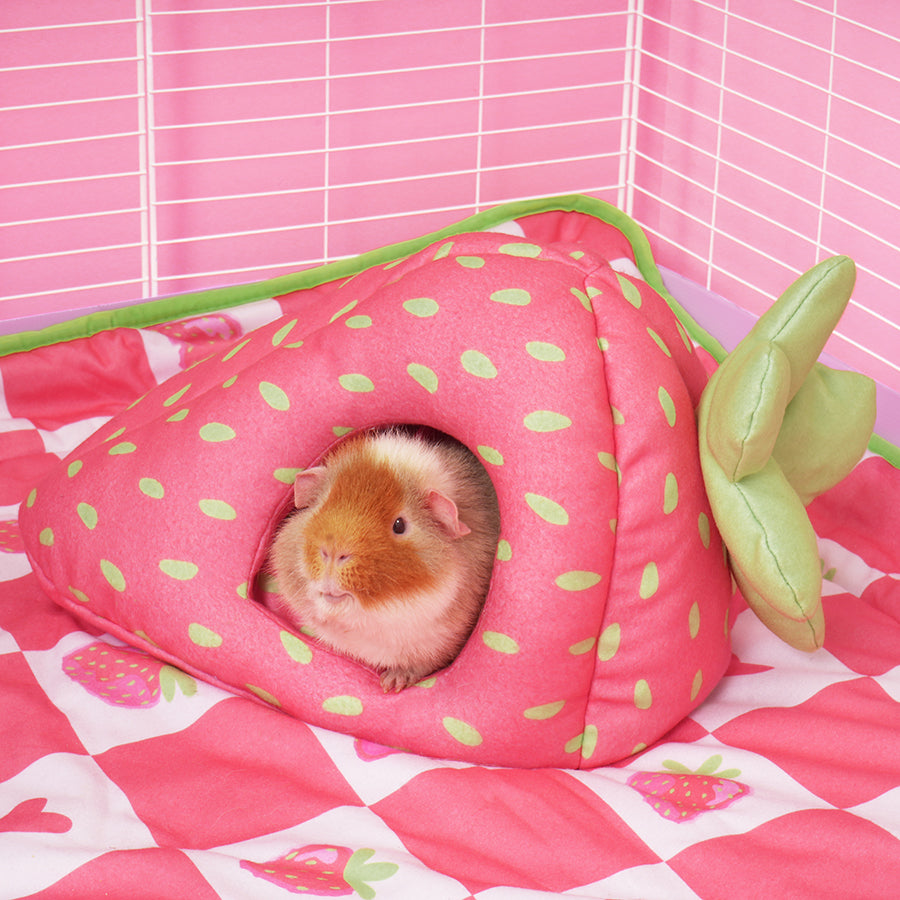 Hide for guinea pigs | Strawberry