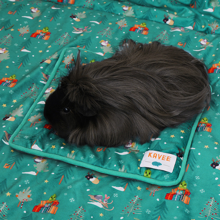 Guinea pig on Kavee Christmas pee pad