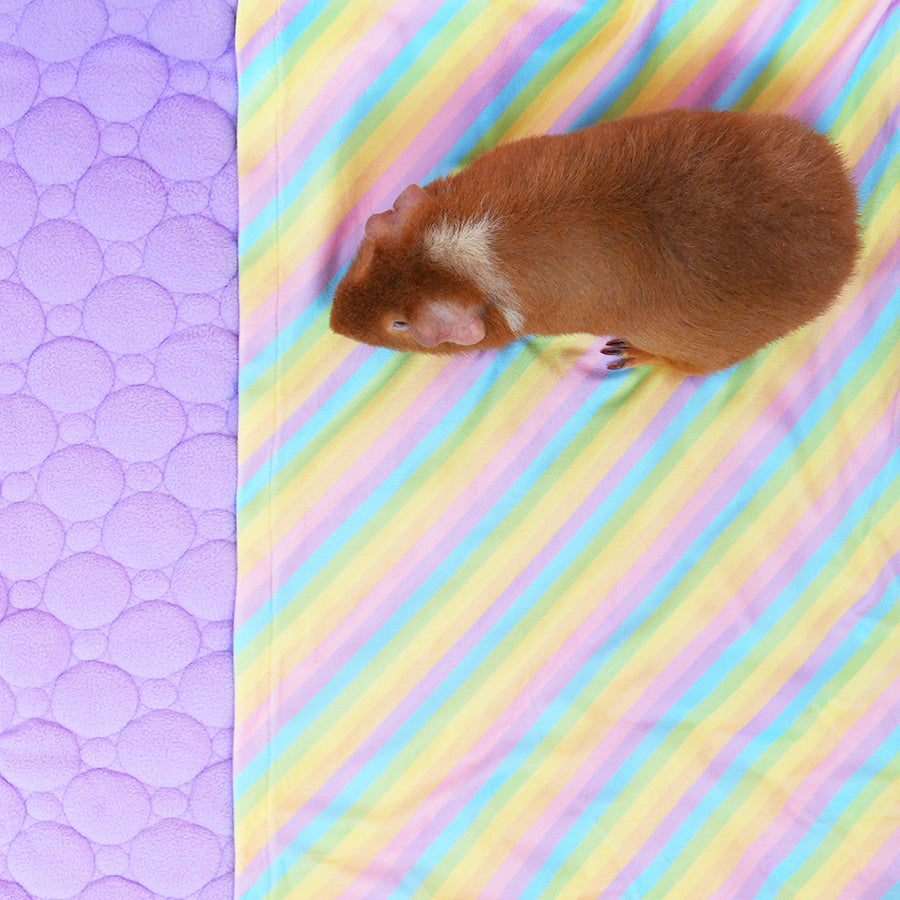 Premium Fleece Liner for Guinea Pigs | Rainbow