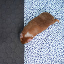 Premium Fleece Liner for Guinea Pigs | Dalmatian