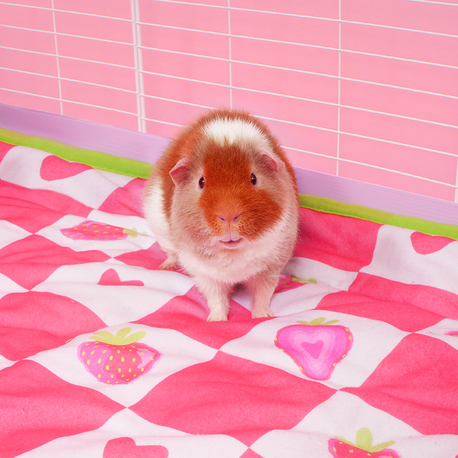 Fleece Liners | Strawberry