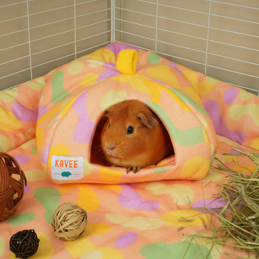 Guinea Pig Hide | Pigcasso V2 Collection