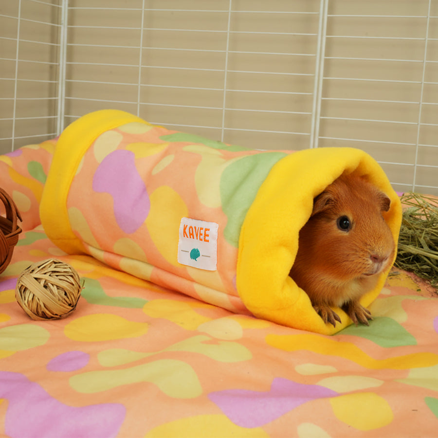 Guinea Pig Fleece Tunnel | Pigcasso V2 Collection
