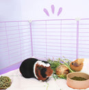 Colored C&C Cage Grids