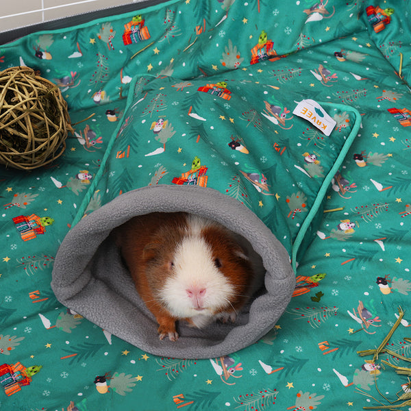 Guinea pig accessories top