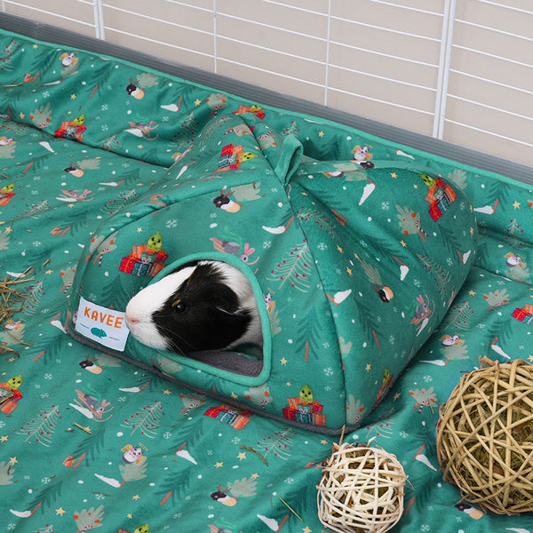 Guinea pig inside Kavee Christmas hidey house