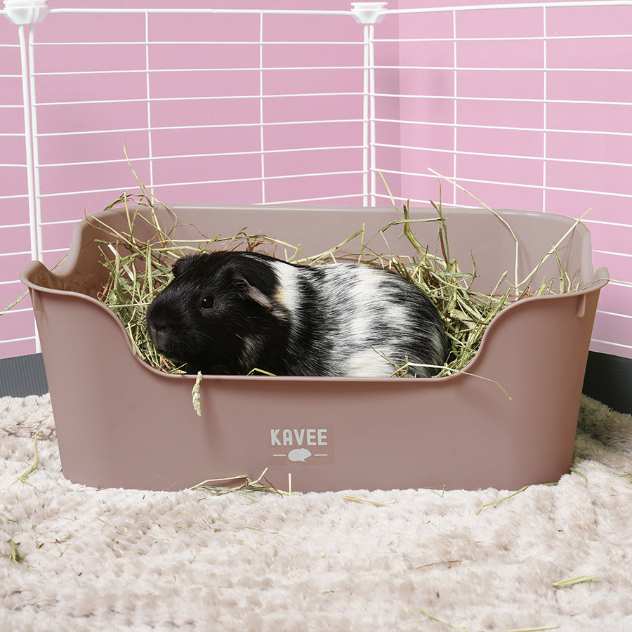 The Super Pooper for Every Floofer | Litter Tray for Guinea Pigs and Rabbits