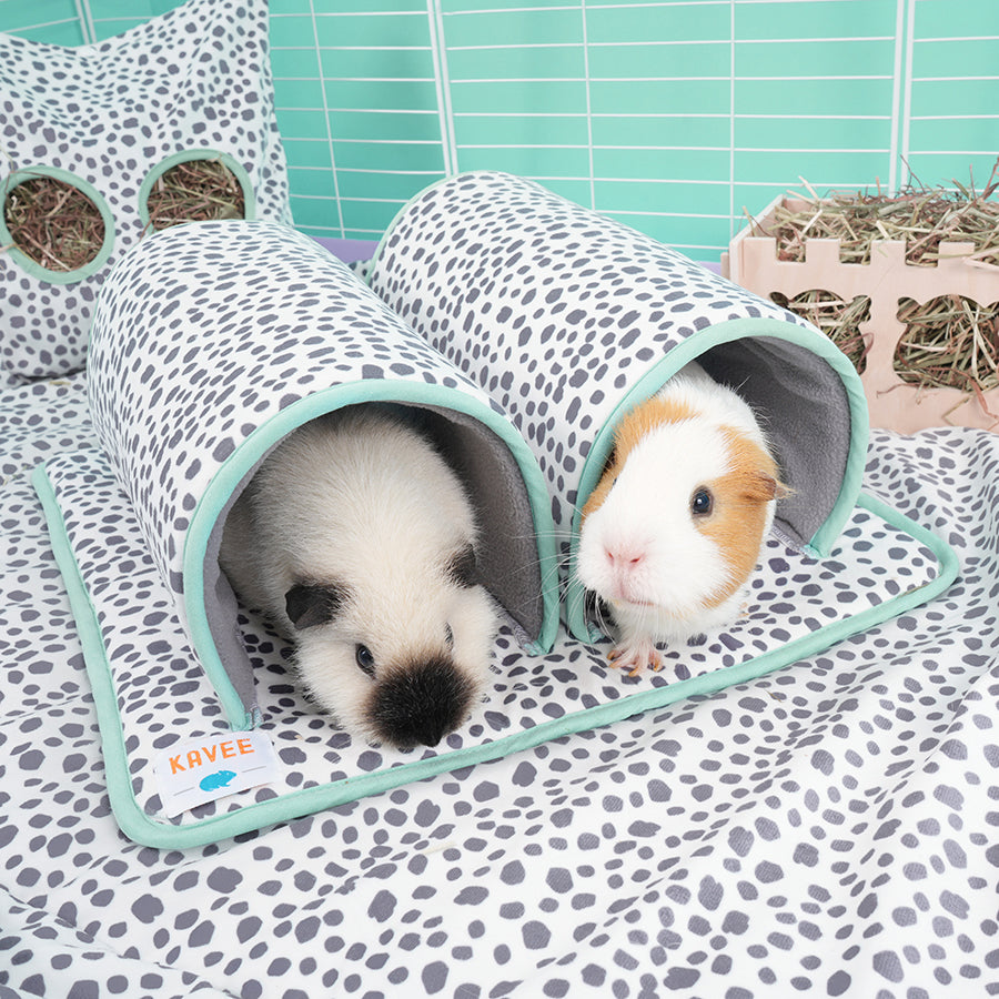 Luxury Cage Bundle for Guinea Pigs
