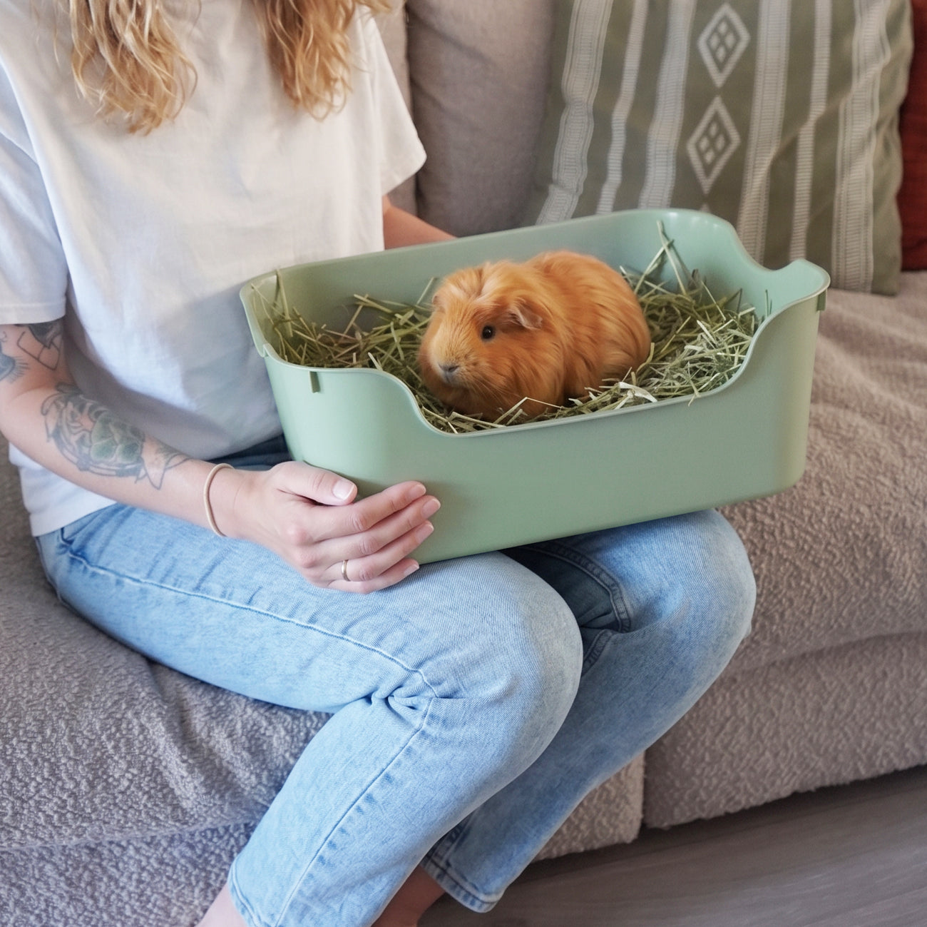 Litter Box for Guinea Pigs & Rabbits