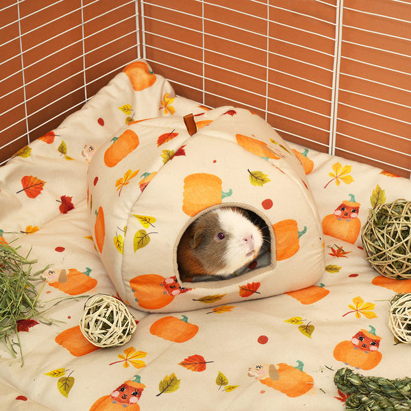 kavee pawmkin spice floof guinea pig hidey house with guinea pig 