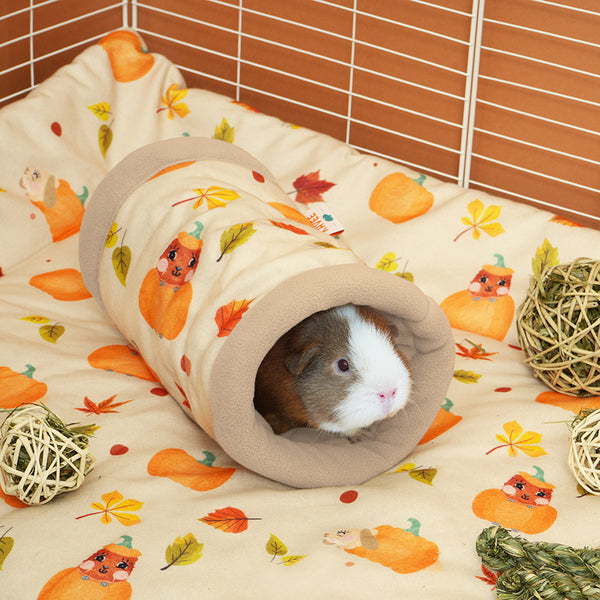 kavee pawmkin spice floof guinea pig tunnel with guinea pig