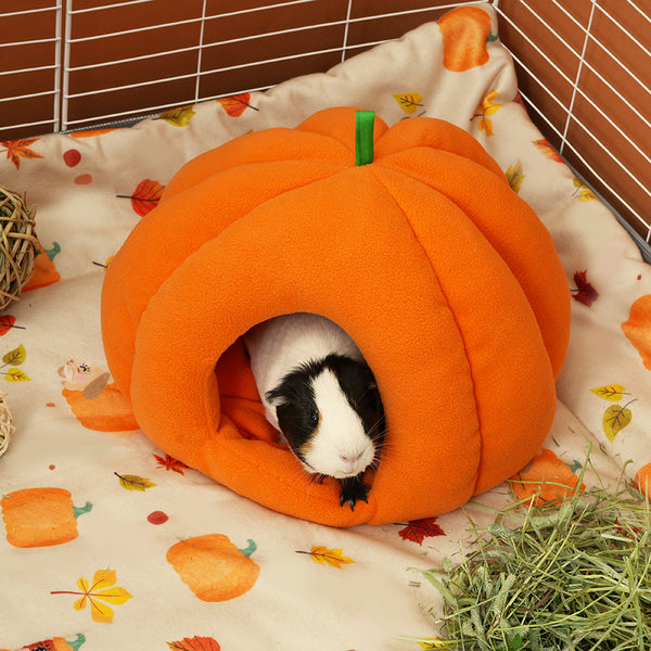 kavee pawmkin spice floof fleece pumpkin bed with black and white guinea pig