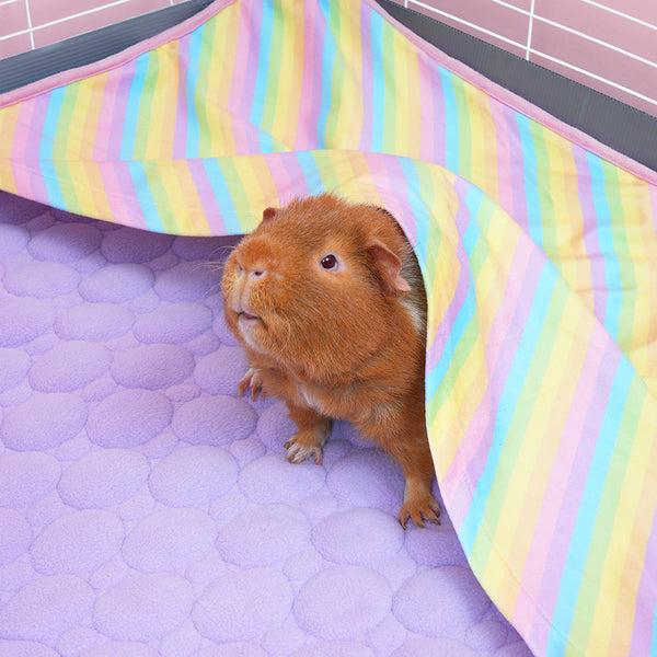 Visual Reference: Pocket Fleece Pocket Liner For Guinea Pigs