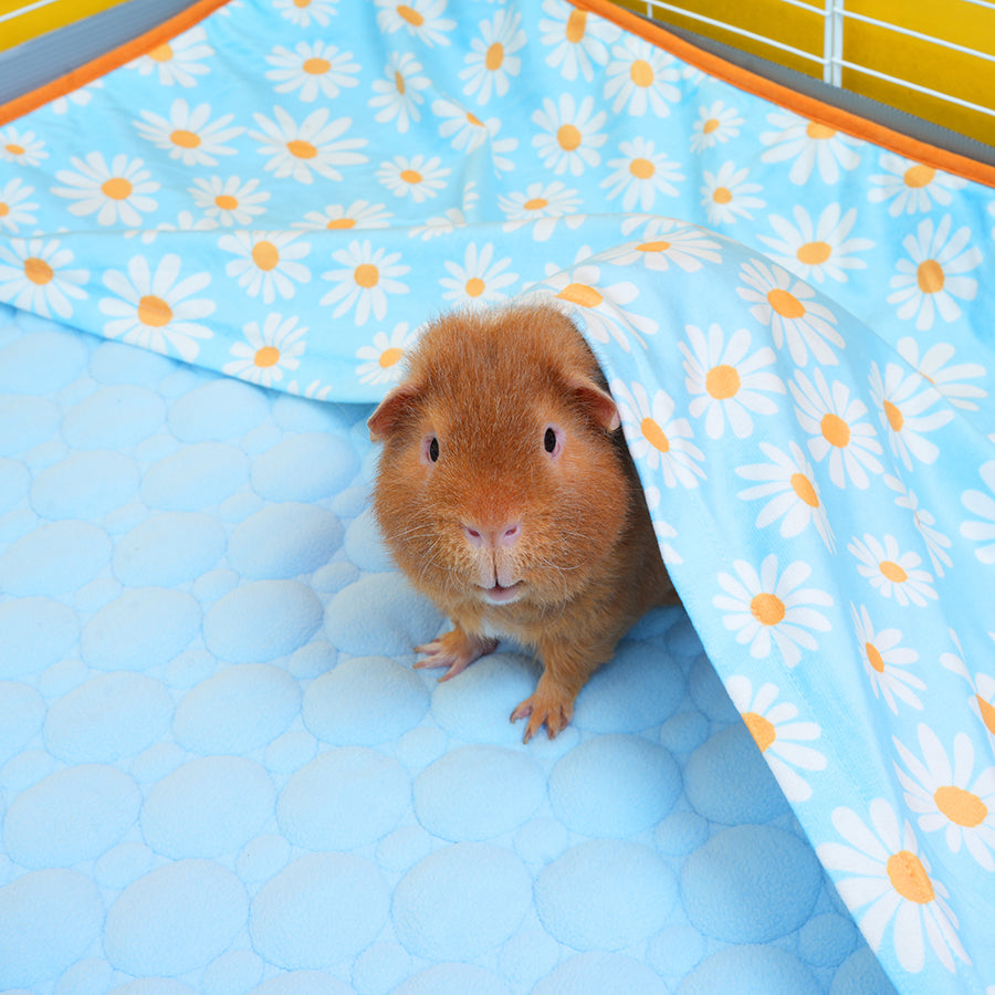 Set of 2 Pocket Fleece Liners for Guinea Pigs | Daisy Collection