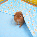 Premium Fleece Liner for Guinea Pigs | Daisy