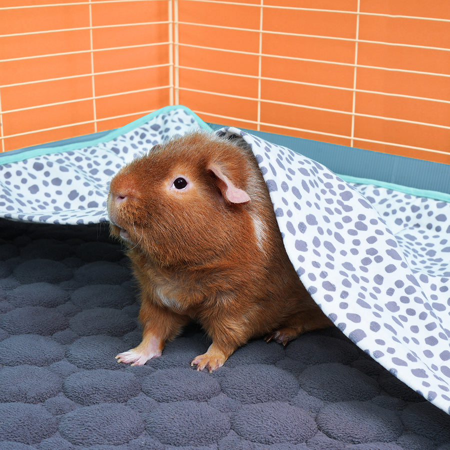 Natural And Organic Guinea Pig Fleece Cage Liners photo