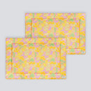 Set of 2 Plush Fleece Liners | Pigcasso V2 Bundle