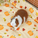 kavee pawmkin spice floof fleece liner with brown and white guinea pig