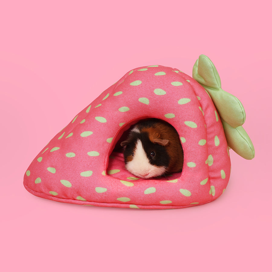 Hide for guinea pigs | Strawberry