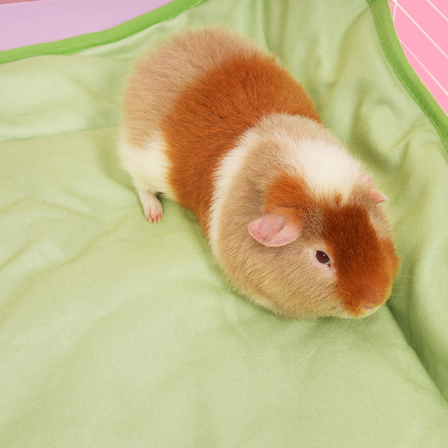 Plush Fleece Liner for Guinea Pigs | Strawberry