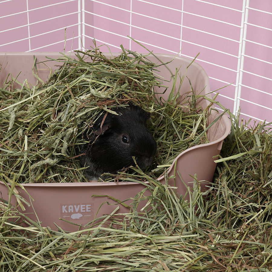 The Super Pooper for Every Floofer | Litter Tray for Guinea Pigs and Rabbits