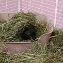 The Super Pooper for Every Floofer | Litter Tray for Guinea Pigs and Rabbits