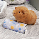 Chill Your Floof | Freezable Bottle for Guinea Pigs and Rabbis