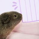 Colored C&C Cage Grids