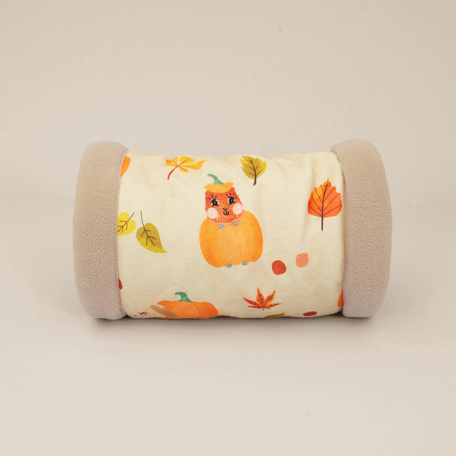 kavee pawmkin spice floof guinea pig tunnel on grey background